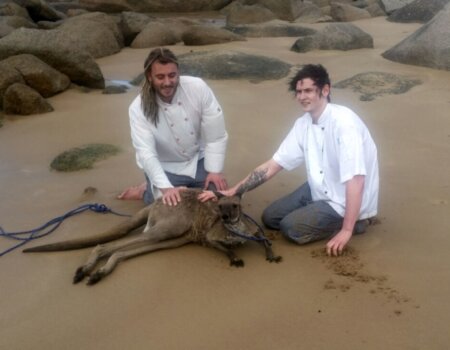 Chefs save kangaroo port elliot