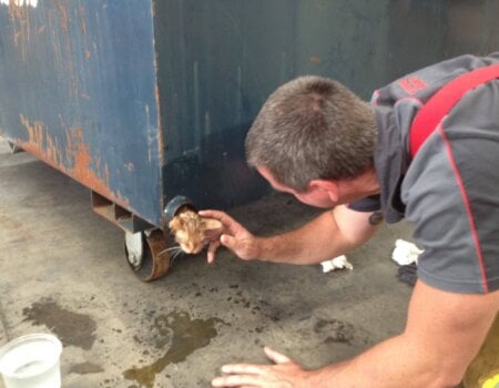 Kitten Rescued From Dumpster