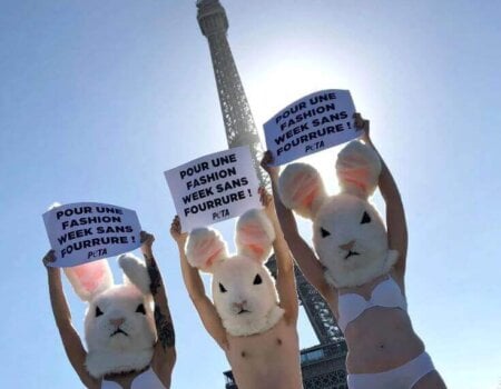 PETA 'Bunnies' Protest Fur.