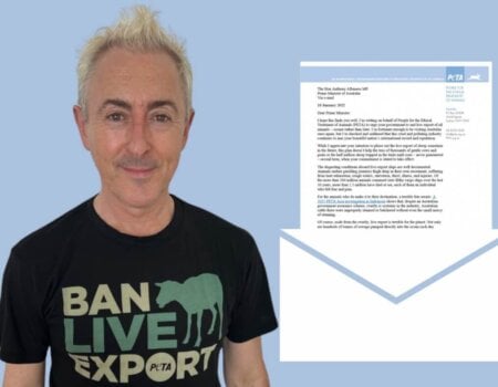 Alan Cumming wears a "ban live export" t-shirt