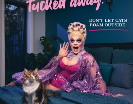 Drag Queen Art Simone lounges on a bed with a cat. Text reads: "Keep your pussy tucked away. Don't let cats roam outside."