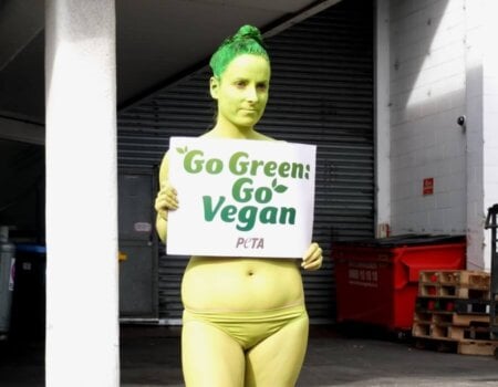 Auckland PETA protest