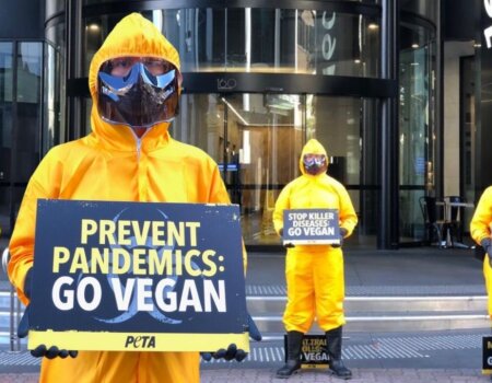 Protesters dressed in hazmat suits in Brisbane.