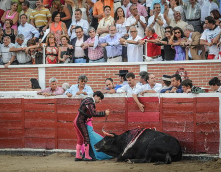 A matador prepares to deal the final blow to a bull during a bullfight.