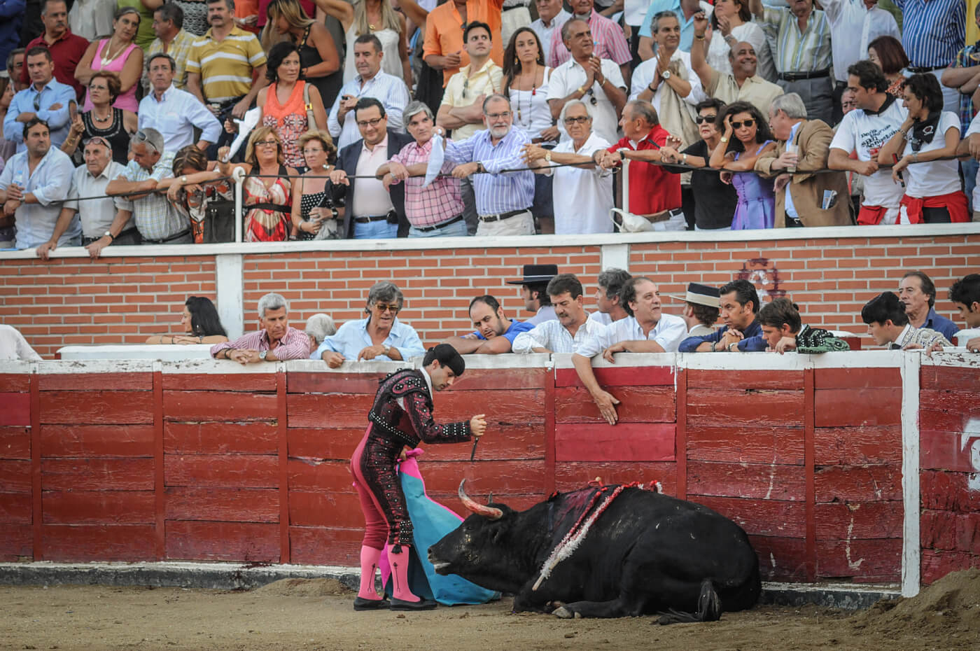 A matador prepares to deal the final blow to a bull during a bullfight.