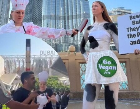 PETA ‘Cow’ and ‘Butcher’ Warning as Flesh Peddlers Infiltrate Conference