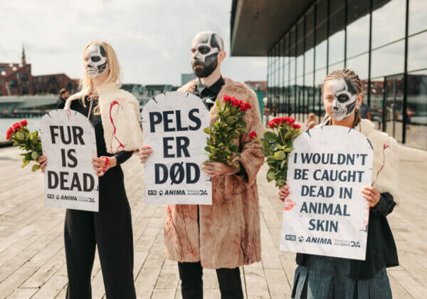 Big News! Copenhagen Fashion Week Bans Fur