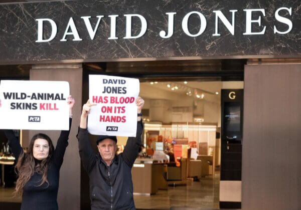 PROTEST: Activists Speak Out for Crocs at David Jones’ Bourke Street Store