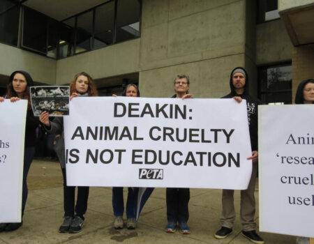 Deakin University Protest PETA