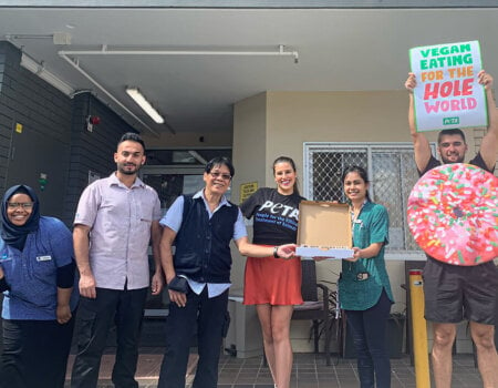 St Patrick’s Green aged-care facility staff celebrate another "doughnut day"!