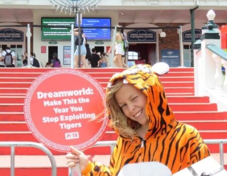 A child dressed in a tiger onesie outside Dreamworld with a sign reading: "Dreamworld: Make This The Year You Stop Exploiting Tigers".