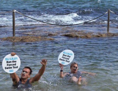 two PETA activists dressed as mice splash about at Bondi Beach