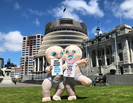 Giant Babies at Parliament House in Wellington, New Zealand.