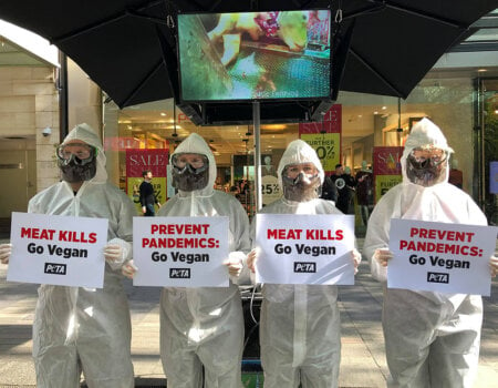 PETA protesters in hazmat suits.