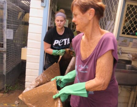 Angela helps clean out flooded vet clinic at Mullumbimby