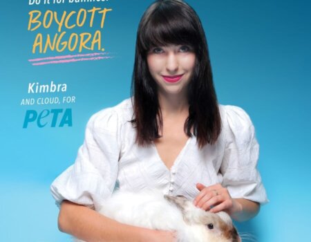 kimbra-peta-angora-ad-