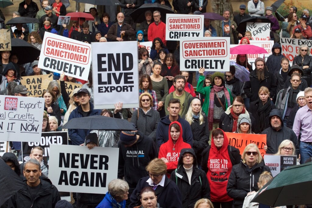 Live Export Protest in Sydney.