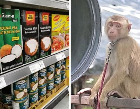 Coconut products on the left and a monkey being exploited to make them on the right.