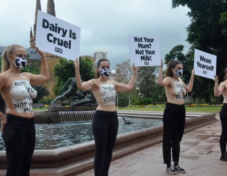 PETA protesters in Sydney for Mother's Day.