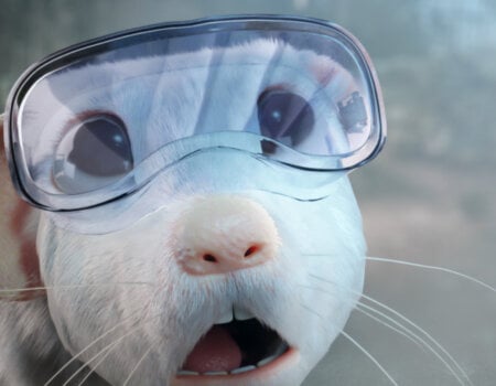 PETA's new video says: mice are smart and adorable, and there's no valid reason to use and kill them in laboratory experiments.