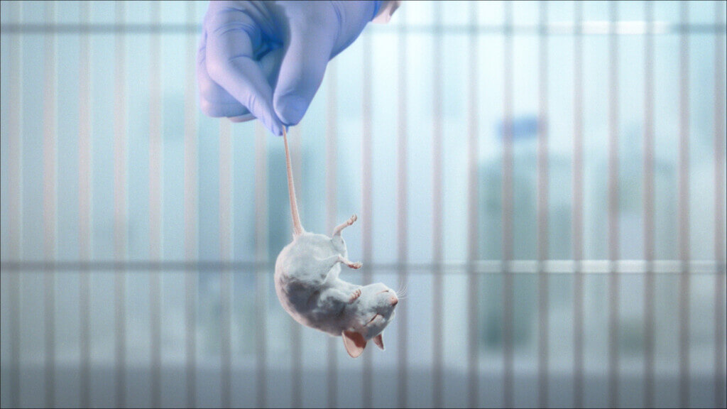 PETA's new video says: mice are smart and adorable, and there's no valid reason to use and kill them in laboratory experiments.