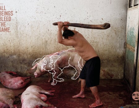 In abattoirs, pigs and cows are hoisted upside down by their back legs and their throats are cut, even though they often haven't been properly stunned. If you aren't already repulsed by that fact, would it shock you if the victim were instead a dog? Shocking new PETA ads aim to challenge viewers to question why they love some animals but eat others.