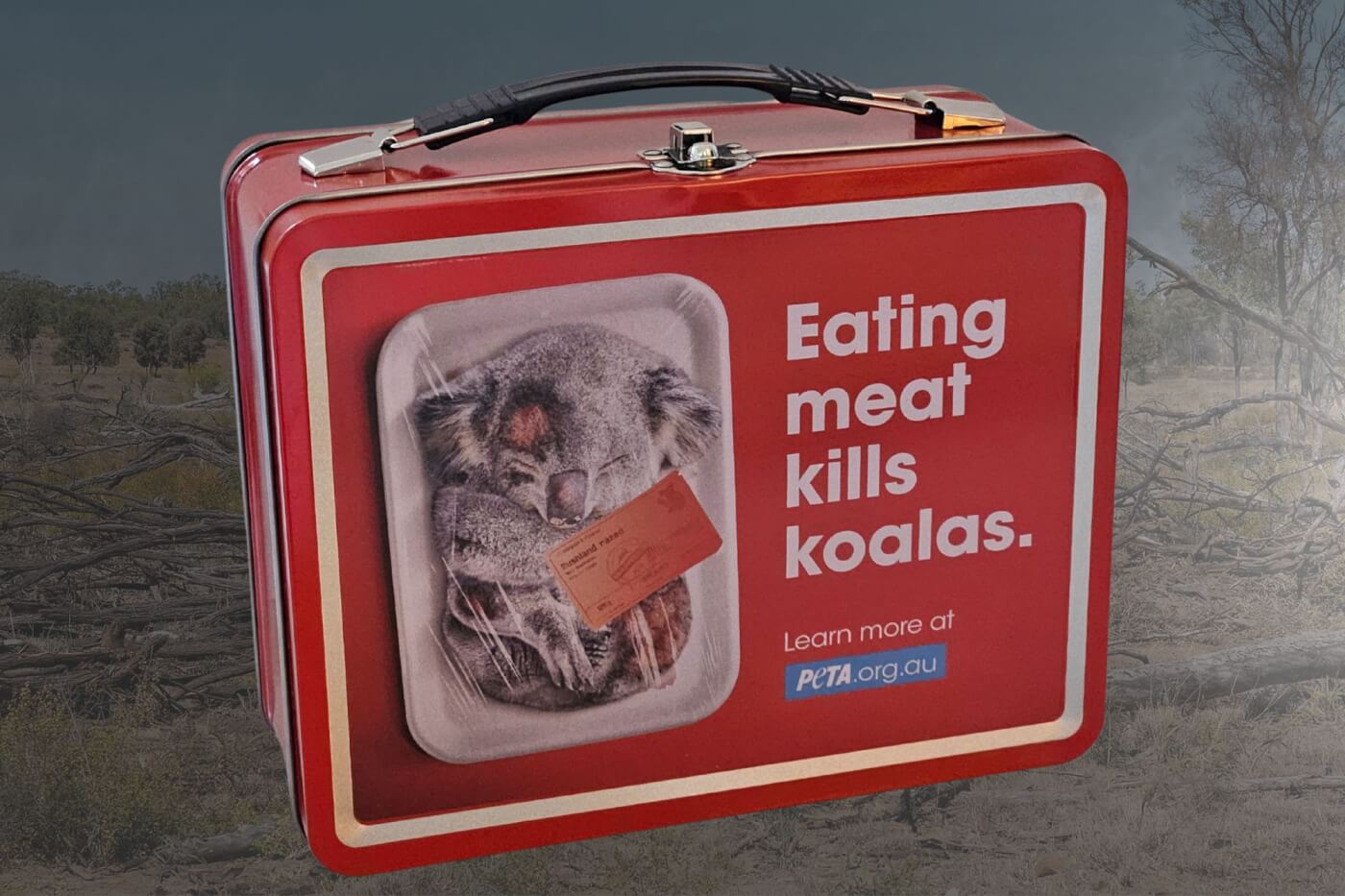 PETA Sends Environment Minister a “Dead Koala” Lunchbox