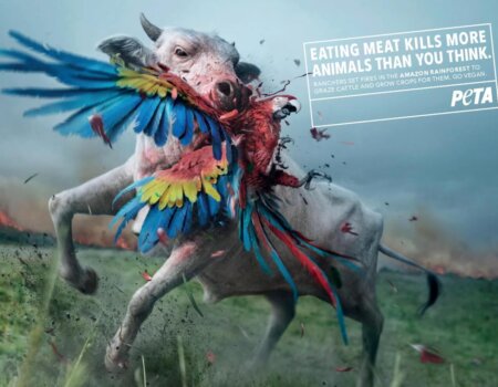 Eating Meat Kills The Amazon