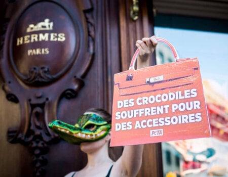 A protester wearing a crocodile mask outside Hermès in Paris.