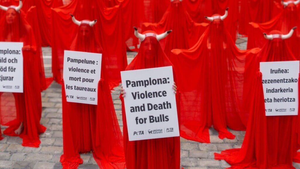 Veiled Activists See Red in Pamplona