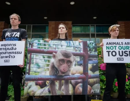 PETA supporters protest outside a store.