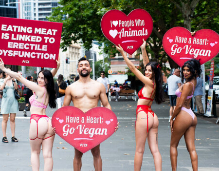 PETA activists at Town Hall in Sydney. Signs read: "Eating Meat is Linked to Erectile Dysfunction", "Have a Heart Go Vegan," and "I Love People Who Love Animals"