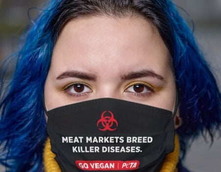 Photo of PETA's face mask.