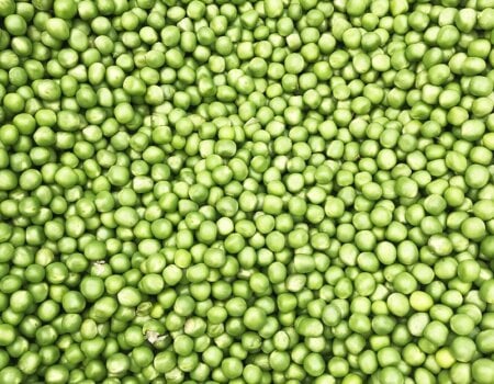 Photo of green peas.