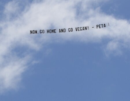 A photo of a banner that reads "Now, Go Home And Go Vegan!"