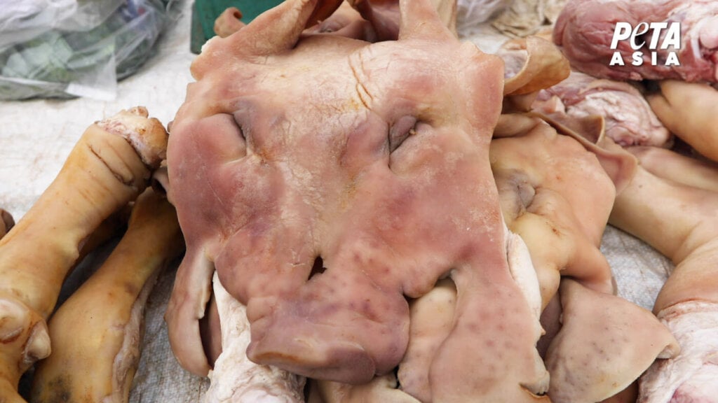 Pigs sold for food at a market.