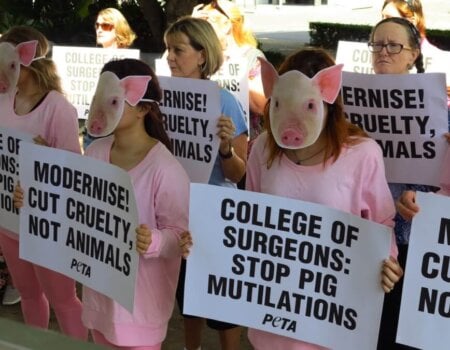 RACS Protest PETA