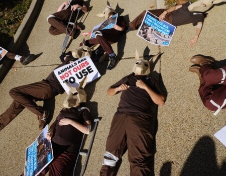 Demonstrators descend on Greek embassy in Washington