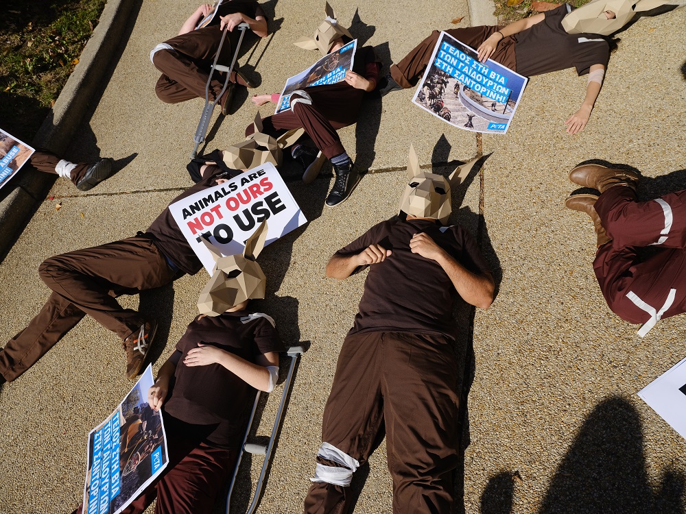 ‘Donkey’ Demonstrators Descend on Greek Embassies Around the World