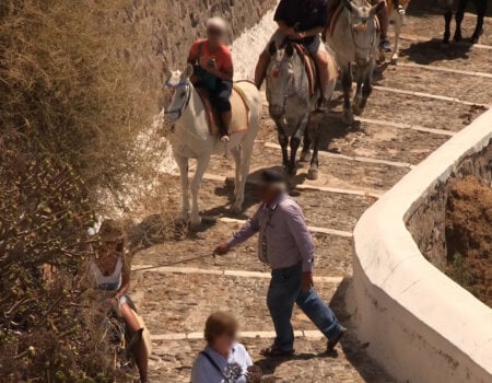 Eyewitnesses documented several situations in which walkers were forced to one side or almost pushed over or trampled by donkeys and mules.