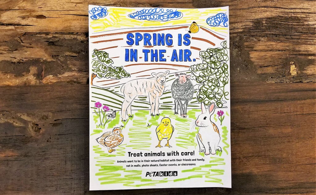 Spring Colouring Page