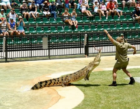 Steve Irwin at Australia Zoo