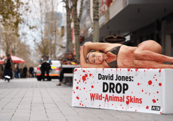 Tash Joins PETA to Protest David Jones’ Sales of Wild-Animal Skins