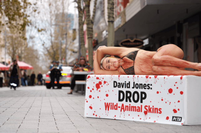 Tash Joins PETA to Protest David Jones’ Sales of Wild-Animal Skins