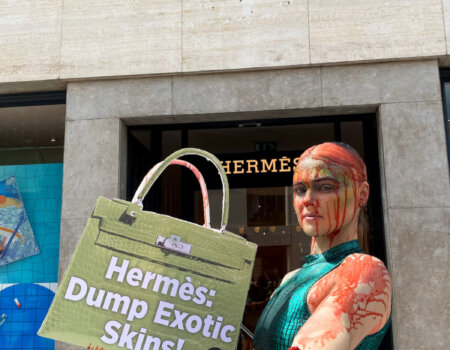 Tash Peterson drenched herself in “blood” and “guts” from a “Birkin bag” in front of Hermès’ flagship London store.