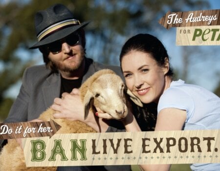 The Audreys Live Export Ad