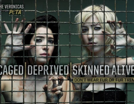 The Veronicas' PETA Ad