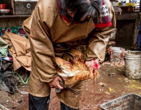 A photo of a wet market in Anhui, China.