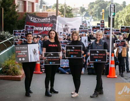 Forced Swim Test Protest