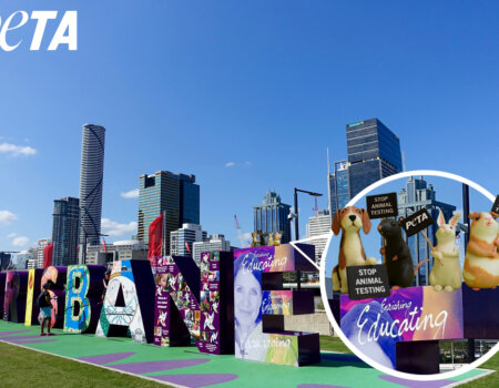 Image shows small toy animals holding protest signs on city background.